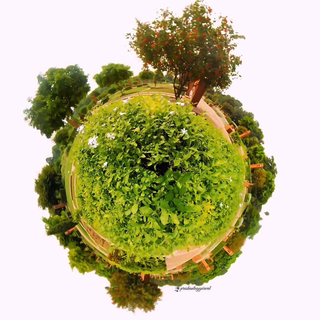 Little Planet Photo